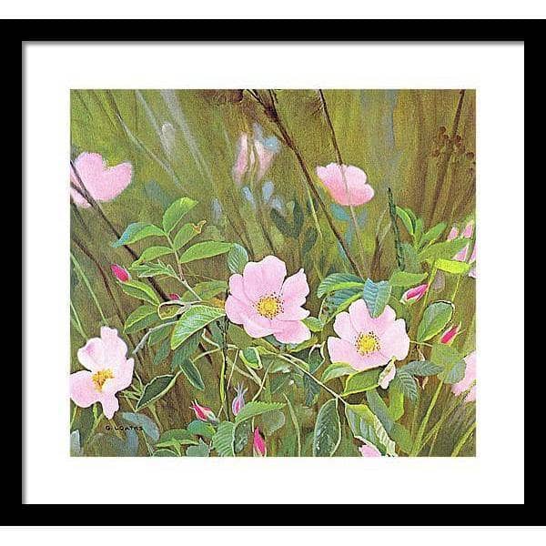 Wild Roses - Framed Print | Artwork by Glen Loates