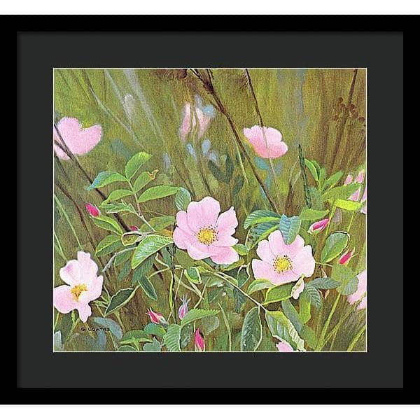 Wild Roses - Framed Print | Artwork by Glen Loates