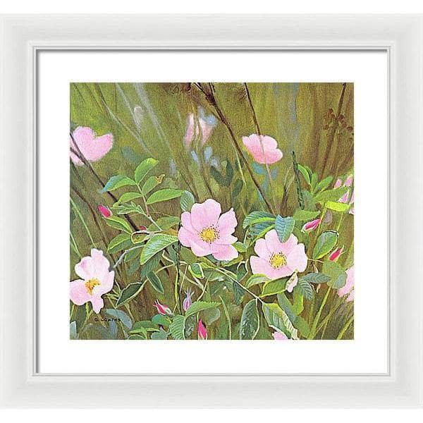 Wild Roses - Framed Print | Artwork by Glen Loates