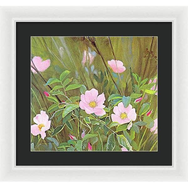 Wild Roses - Framed Print | Artwork by Glen Loates
