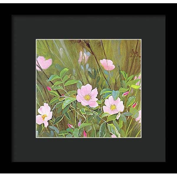 Wild Roses - Framed Print | Artwork by Glen Loates