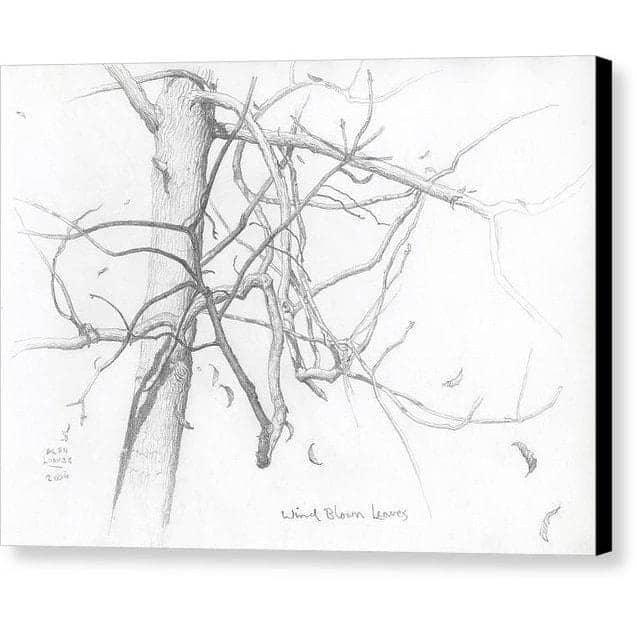 Wind Blown Leaves - Canvas Print | Artwork by Glen Loates