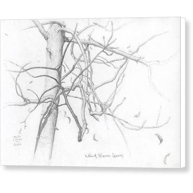 Wind Blown Leaves - Canvas Print | Artwork by Glen Loates