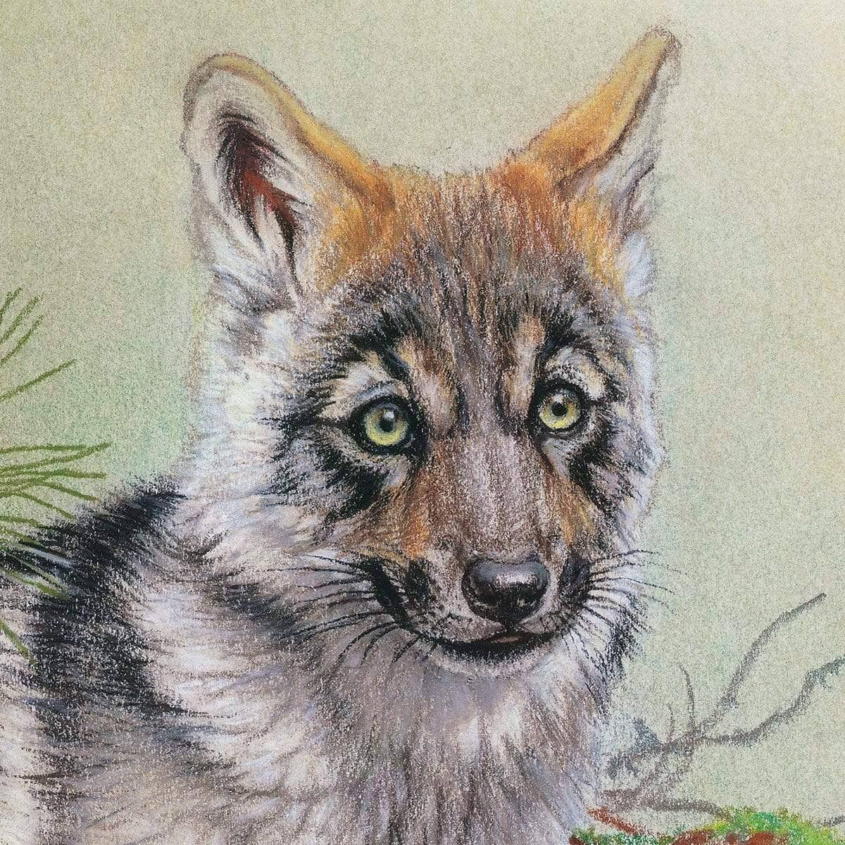Wolf Pup - Art Print | Artwork by Glen Loates