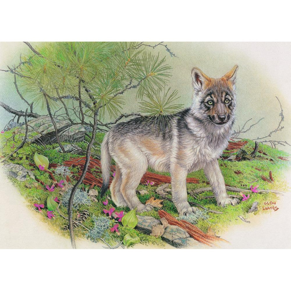 Wolf Pup - Art Print | Artwork by Glen Loates